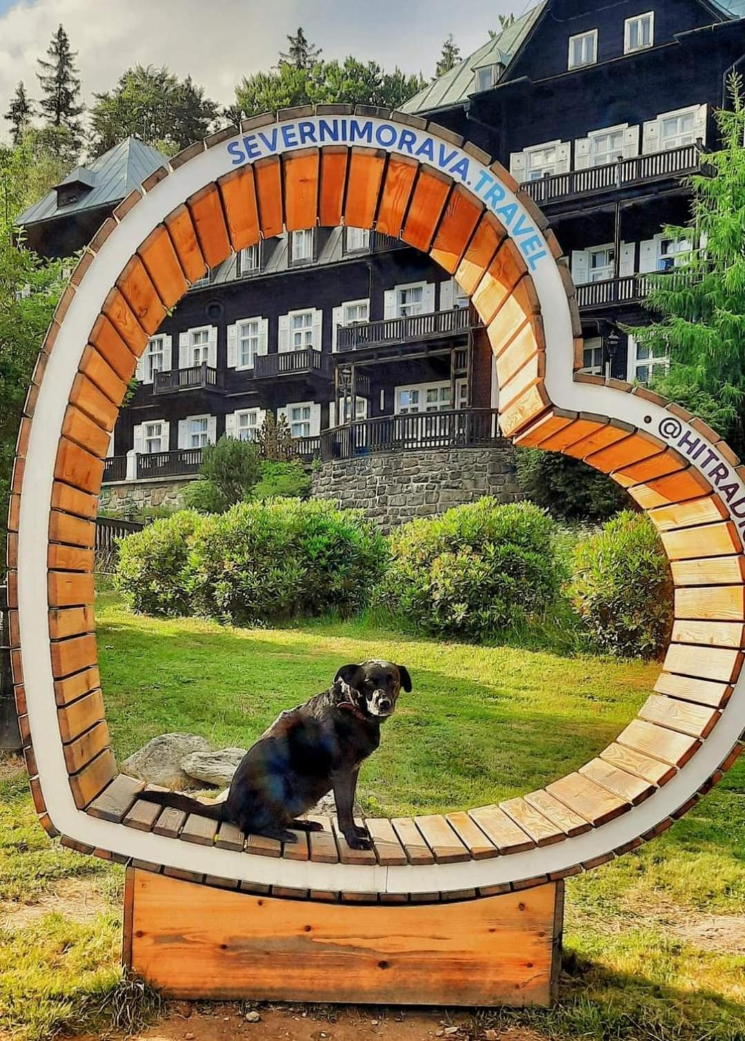 Apartment Pod Smrcinou *